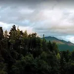 Hotel - Alpina