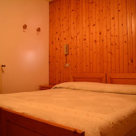 Hotel - Alpina 2*