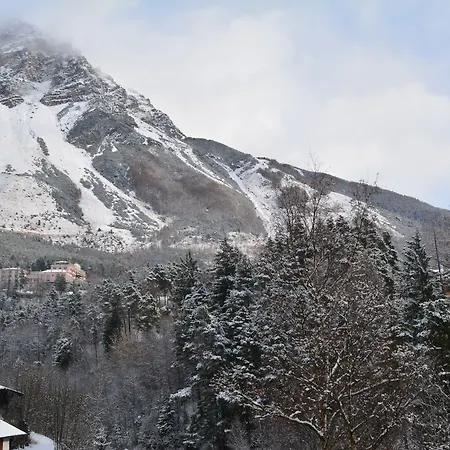 Hotel - Alpina 2*