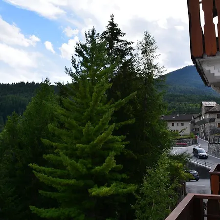 Hotel - Alpina